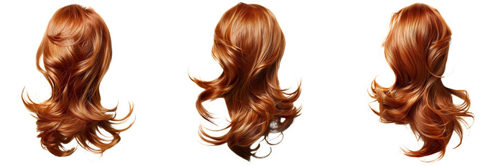 Naklejka premium set of brown hair isolated on a white or transparent background