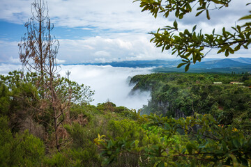 View from God's Window viewpoint with Aloe flowers foreground in Blyde River Canyon Nature Reserve, along the Panorama Route in Mpumalanga, South Africa