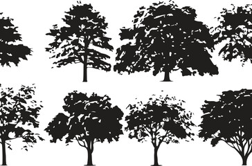 Collection Realistic Group Trees Isolated silhouettes, vector illustrator