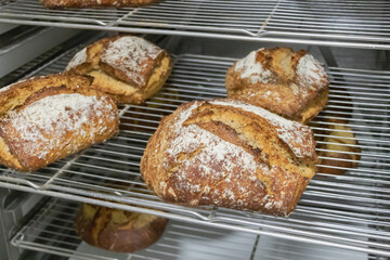 sourdough bread after baked prepared for sale at a bakery shop.