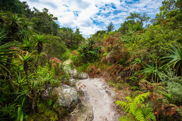 View from God's Window viewpoint with Aloe flowers foreground in Blyde River Canyon Nature Reserve,...