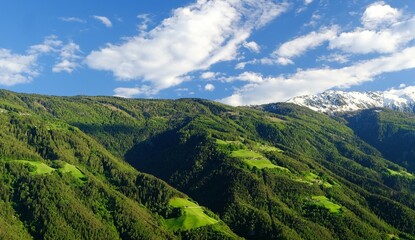 Naklejka premium Almen im Vinschgau