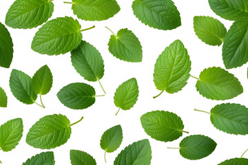 Green leaves
