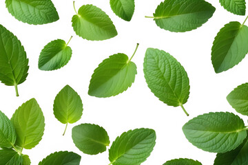Green leaves