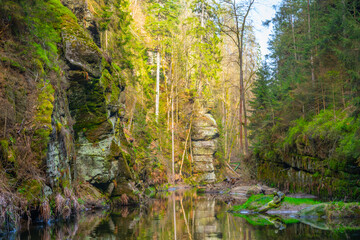 A calm river winds through a lush, forested Wild gorge in Bohemian Switzerland, Czechia. Sunlight filters through the trees, illuminating the rocky cliffs and the sparkling water.