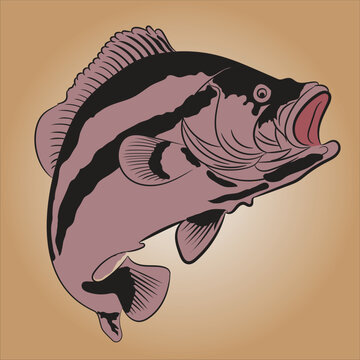 recommend clip art: illustration of a fish. Fish vector art.