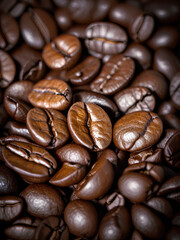 Obraz premium closeup coffee bean collection with details