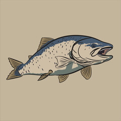 illustration of a fish. Fish vector art. 