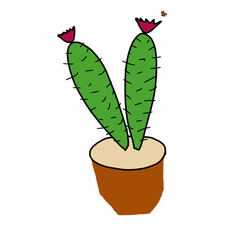 Fototapeta premium cactus in flowerpot