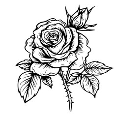 Simple Line Drawing of a Blooming Rose