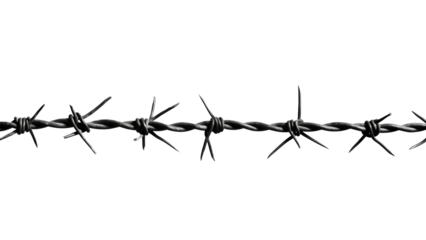 Barbed wire cutout. Isolated barbed wire on transparent background
