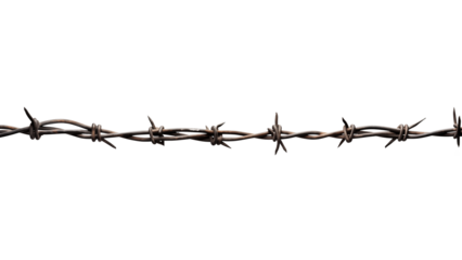 Barbed wire cutout. Isolated barbed wire across screen on transparent background