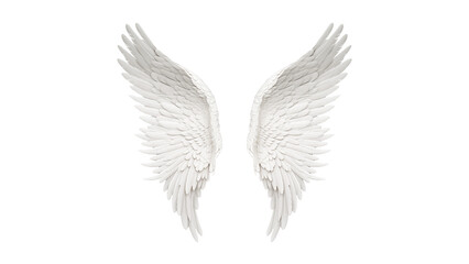 Angel wings cutout. White wings on transparent background