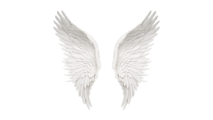 Angel wings cutout. White wings on transparent background