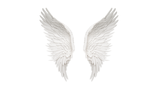 Angel wings cutout. White wings on transparent background