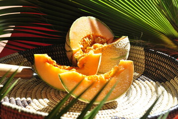 orange melon on a green background