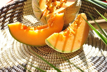 orange melon on a green background