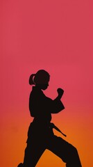 silhouette of a woman practicing martial arts