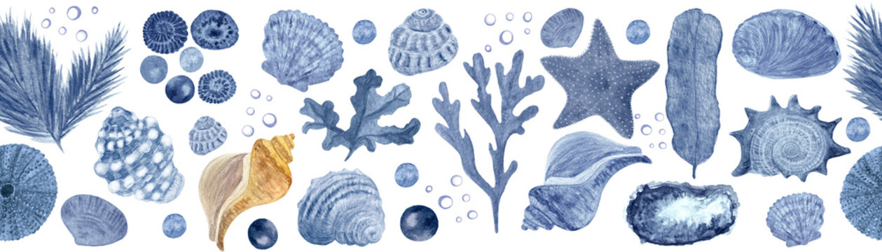 Starfish, seaweed, bubbles, pearls, shell blue monochromatic watercolor seamless border isolated on white. Hand-drawn illustration for cards, restaurant menu, textile, tourism, tape and room decor