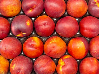 Sunlit Spanish Nectarine Harvest: Fresh Organic Fruit