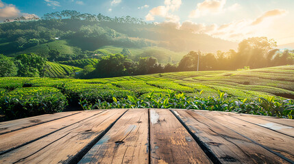 Scenic view of tea plantations at sunrise with wooden table in foreground. Beautiful landscape with lush green fields