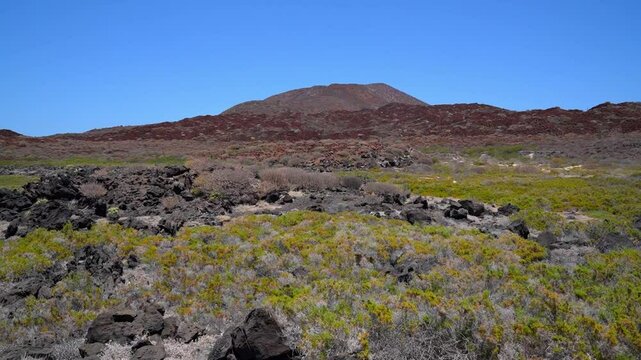 Semi-desert coastal ecosystem with volcano on the background in Isla Coronado, Loreto, Baja California Sur