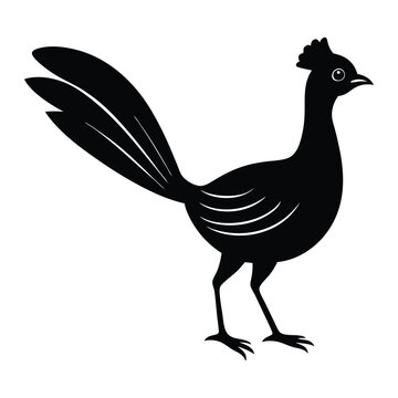 recommend clip art:  Elegant Lyrebird Silhouette Art Design Illustration