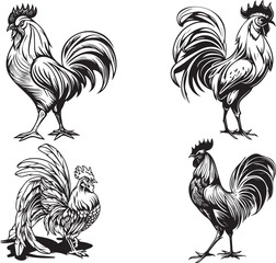 Chickens,Chickens Head animals art graphic resources vector Element image design