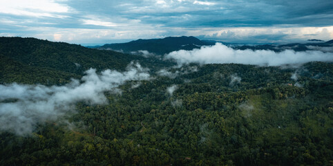 Tropical green forest in the rainy season from above,Aerial view,concept of environmental ecology