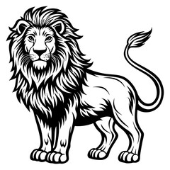 Lion  vector illustration,  Loin Silhouette