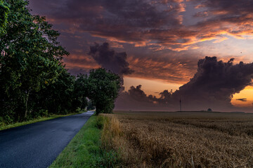 wiatraki , zboże, chmury , niebo © Daniel Folek