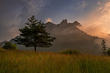 Pieniny , Tatry , Karpaty, góry, Trzy Korony © Daniel Folek