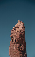 El Indio em S&atilde;o Pedro de Atacama, Chile.