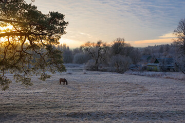 beautiful winter frozen rural landscape at sunset