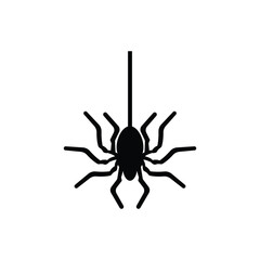 Spider icon or logo design isolated sign symbol vector illustration. A collection of high quality black line style vector icons