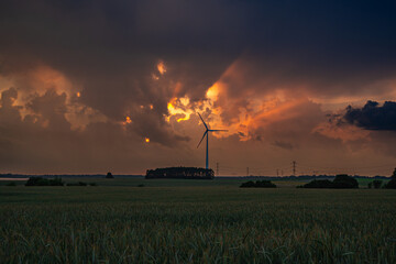 wiatraki , zboże, chmury , niebo © Daniel Folek