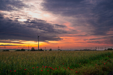 wiatraki , zboże, chmury , niebo © Daniel Folek