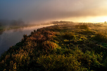 rzeka , warta, ranek , mgła