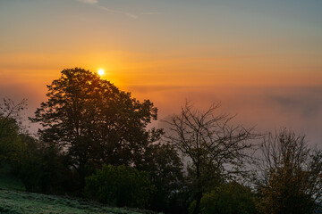 rzeka , warta, ranek , mgła