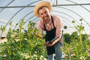 Obraz premium Using digital tablet. Man in greenhouse is working with plants