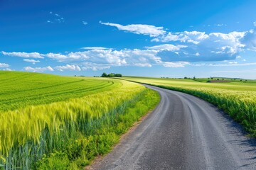Fototapeta premium Beautiful idyllic landscape in countryside banner format with a wide field of cereals and a pasture divided by a deserted asphalt road against a blue summer sky