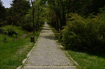 footpath in the park