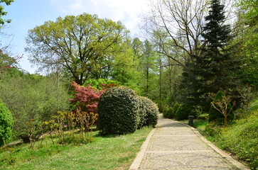 landscape with trees