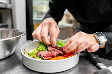 A chef’s hands garnishing a gourmet dish with greens, featuring medium-rare steak and fresh vegetables.