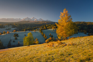 Autumn view of the Tatras in Slovakia: golden, red, and orange leaves on trees surround majestic mountains with snow-capped peaks. Clear, blue sky contrasts with the warm colors of the forest. Magical