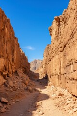 Fototapeta premium A dirt road winding between rocky cliffs in a desert landscape.