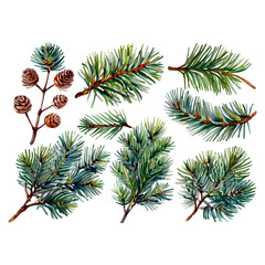 A large set of watercolor fir branches. Fir branches for Christmas, isolated on a white background. New Year's corner branches 2025.
