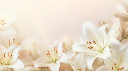 Obraz premium Closeup of white beautiful blooming lilies