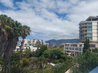 madeira island, nature, background, outdoor, green, mountain, plants, day, tourism, portugal, travel,, view, clouds, peace, calm, beach, coast, shore, ocean, water, sky