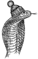 Vintage engraving isolated snake glasses dressed fashion set illustration serpent ink sketch. Reptile asp background viper silhouette cobra  sunglasses hipster hat art. Hand drawn image